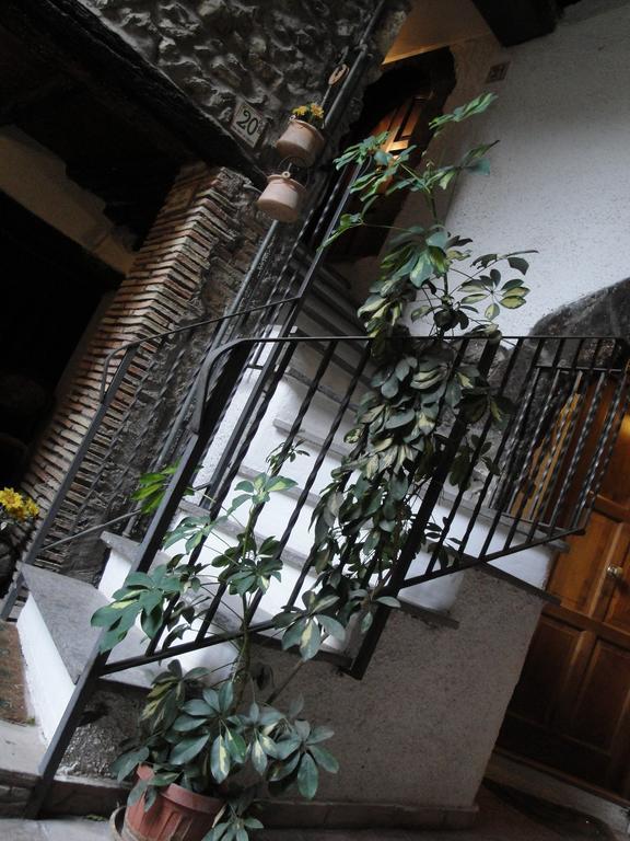 Il Nido Di Apricus Villa Olevano Romano Eksteriør billede